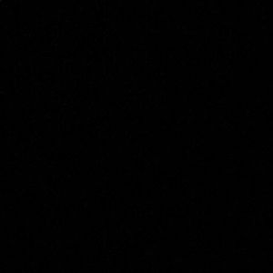 Meet your Posher, Allegra